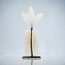 Glass Studio Habrat Habrat - Glazen Weidebloem wit, 20 cm