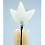 Glass Studio Habrat - Glazen Weidebloem 20cm