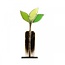 Glass Studio Habrat Habrat - Glazen Weidebloem zwart/lime, 29 cm