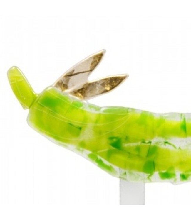 Maciej Habrat - Flying Golden Angel