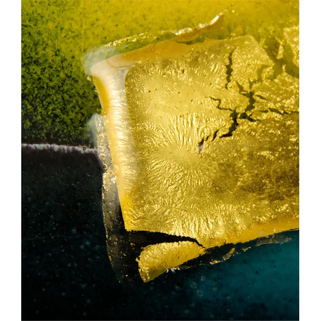 Glasstudio Habrat - Golden Head nr. 2 - Glas & 24kt Gold