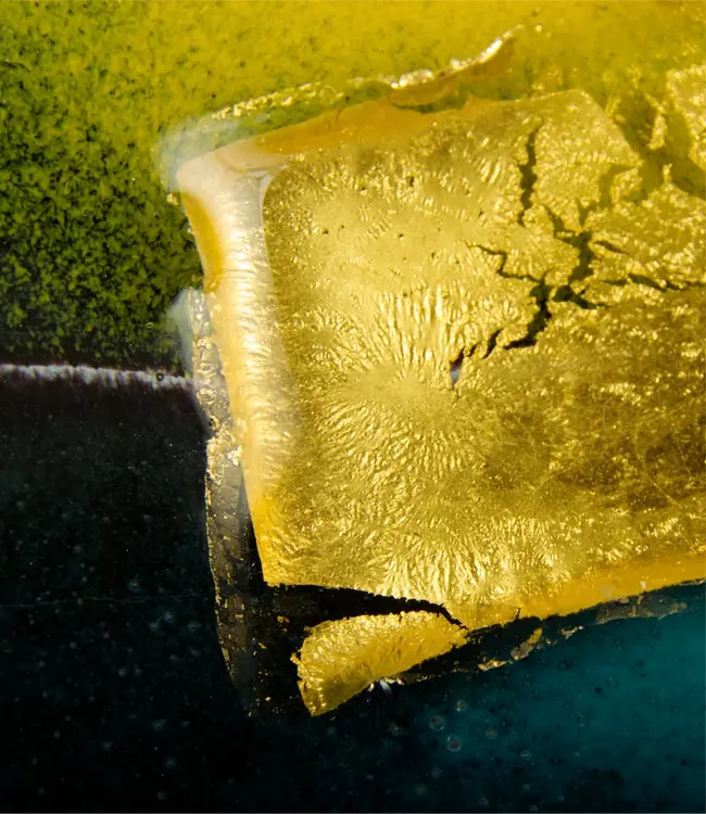 Glasstudio Habrat - Golden Head nr. 2 - Glas & 24kt Gold