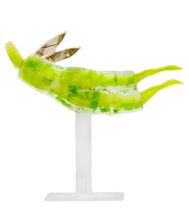 Maciej Habrat - Flying Golden Angel