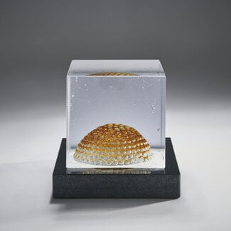 Bertil Vallien Dome Limited Edition – Bertil Vallien Glaskunst