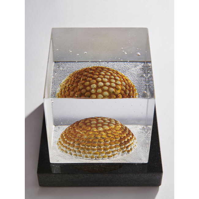Dome Limited Edition Glaskunstwerk van Bertil Vallien voor Kosta Boda