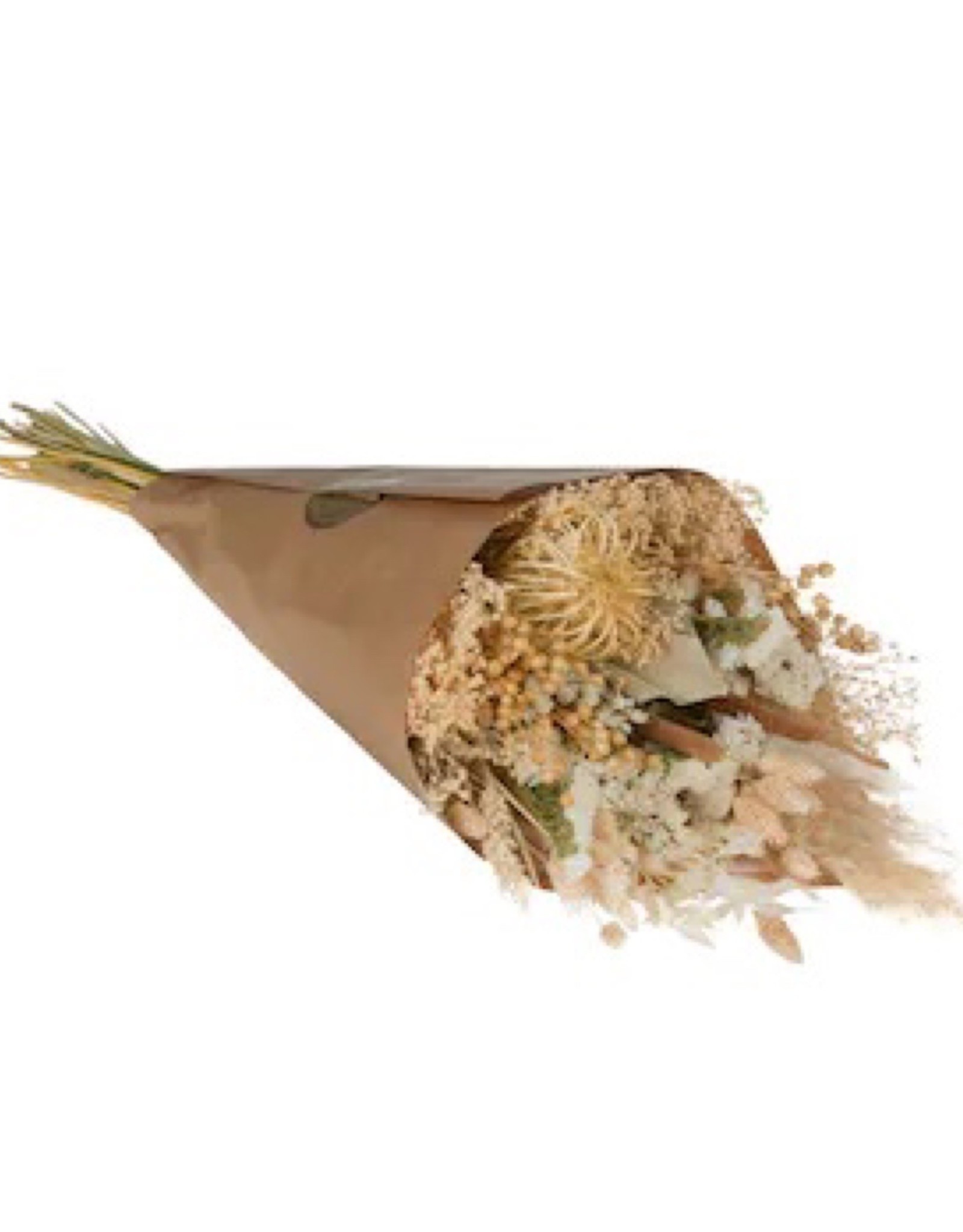Droogbloemen Large white exclusive