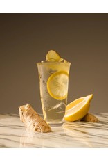 Botan Non-Alcoholische Spirit : Gember/Citrus
