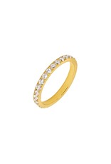 Ring shiny