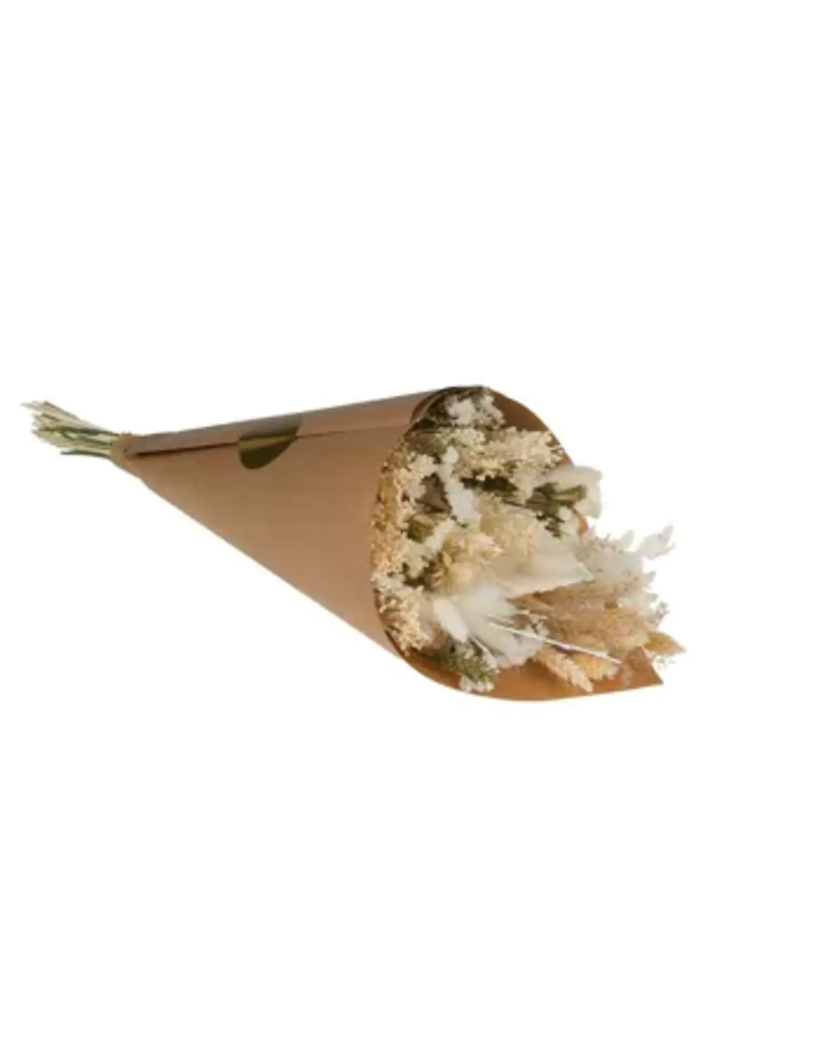 Droogbloemen Medium White exclusive