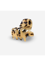 Haarklem paw cheetah