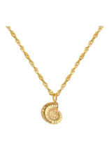 Ketting shell goud