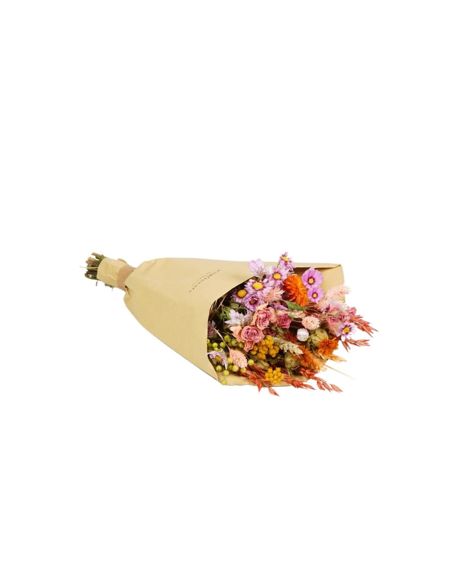 Droogbloemen Small sunny
