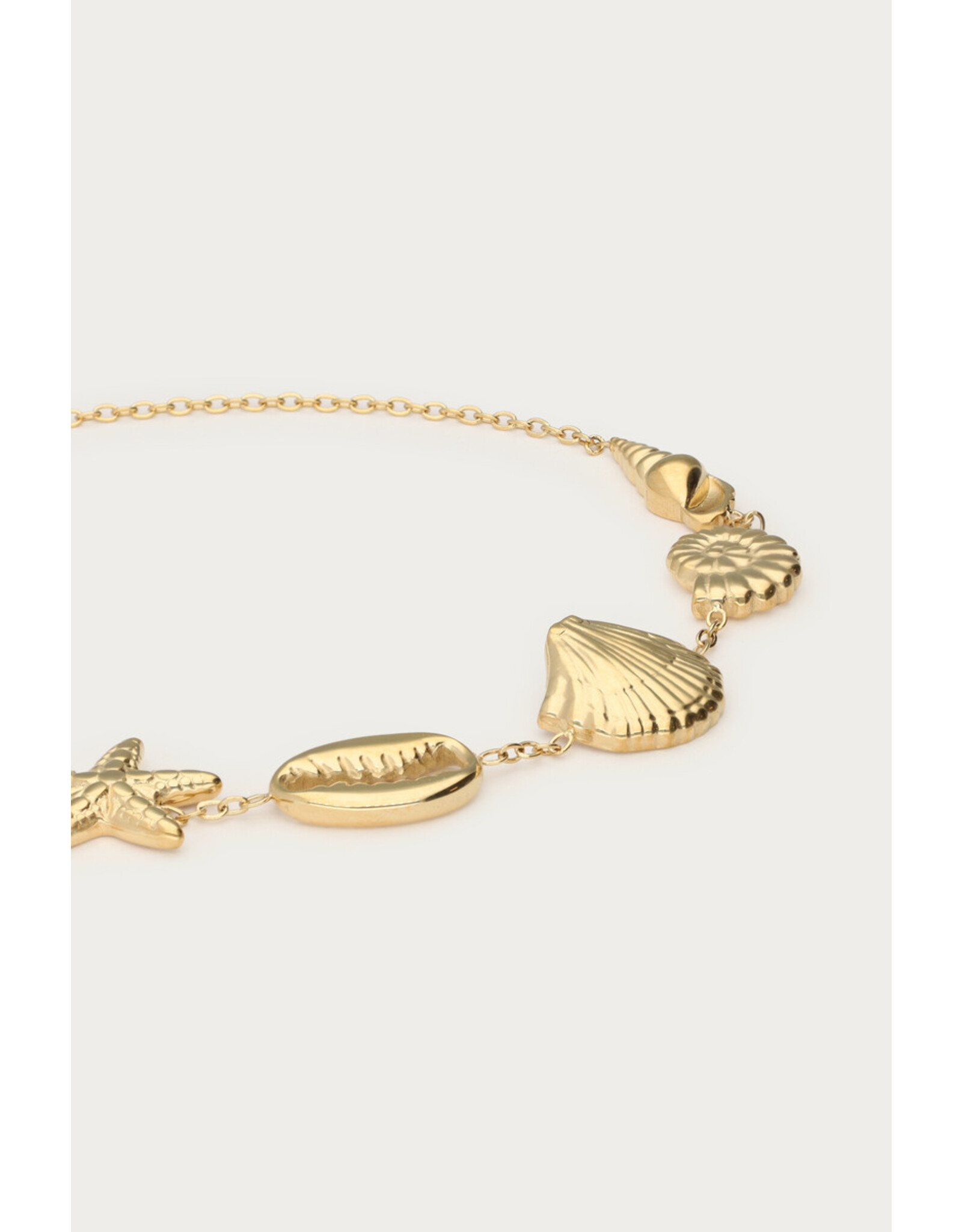 Armband schelpen