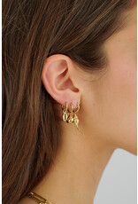 Set  3 oorringen schelpen