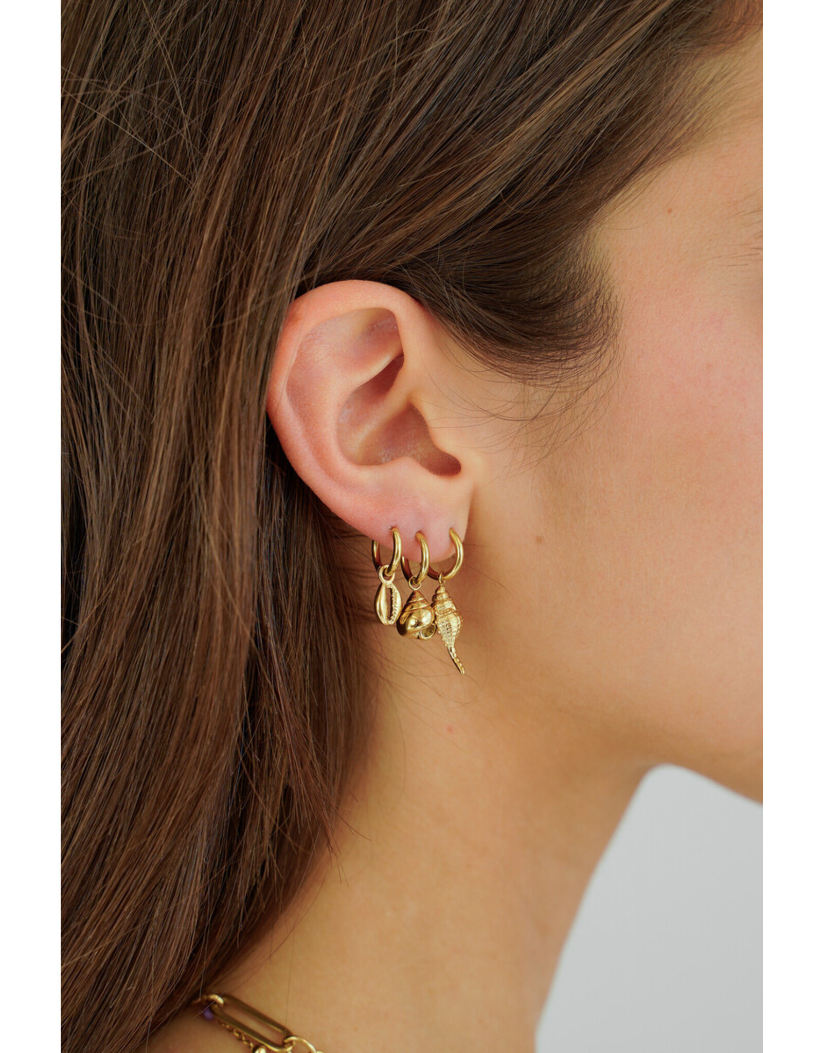 Set  3 oorringen schelpen