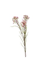Flower spray pink