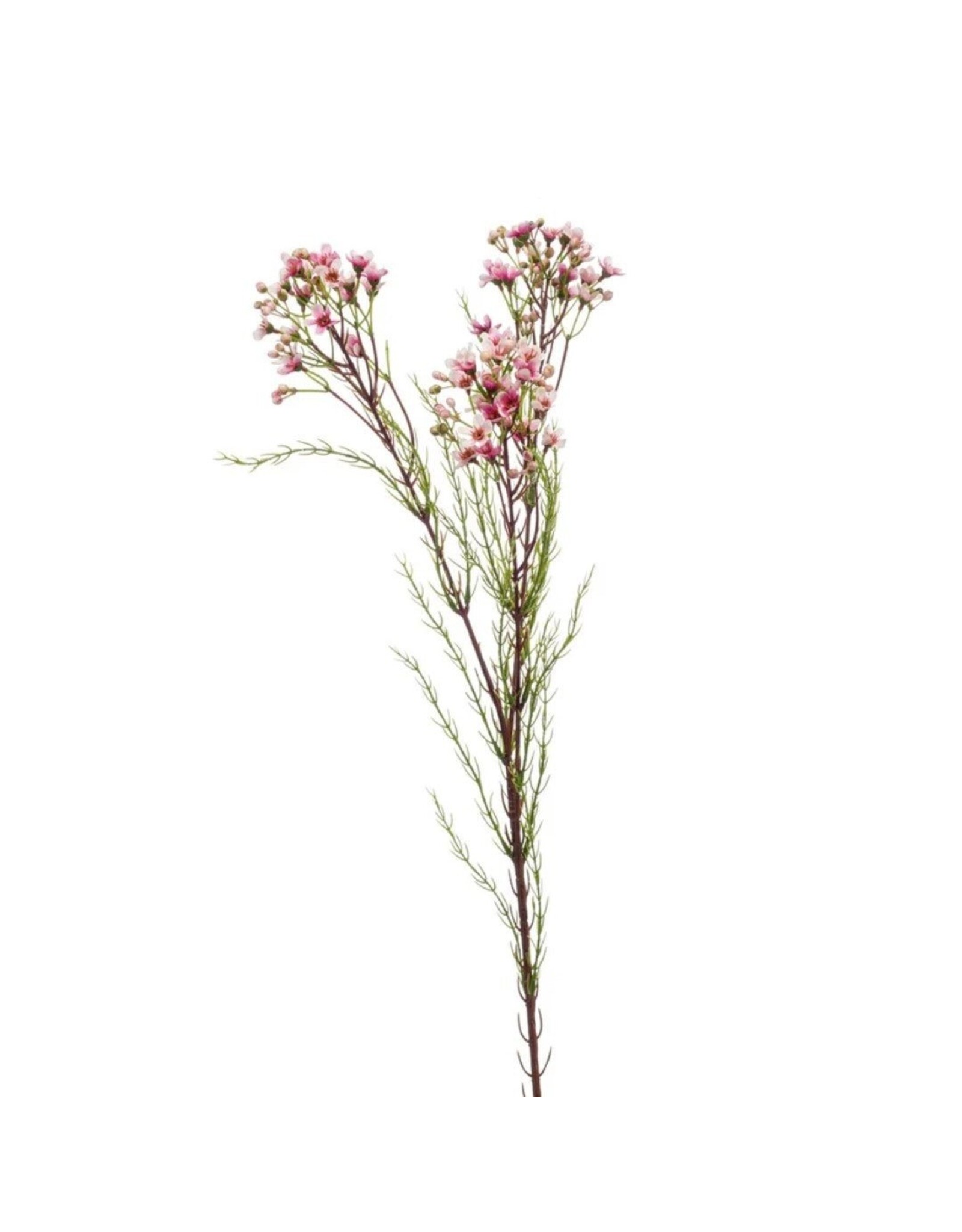 Flower spray pink