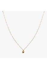 Ketting schelp