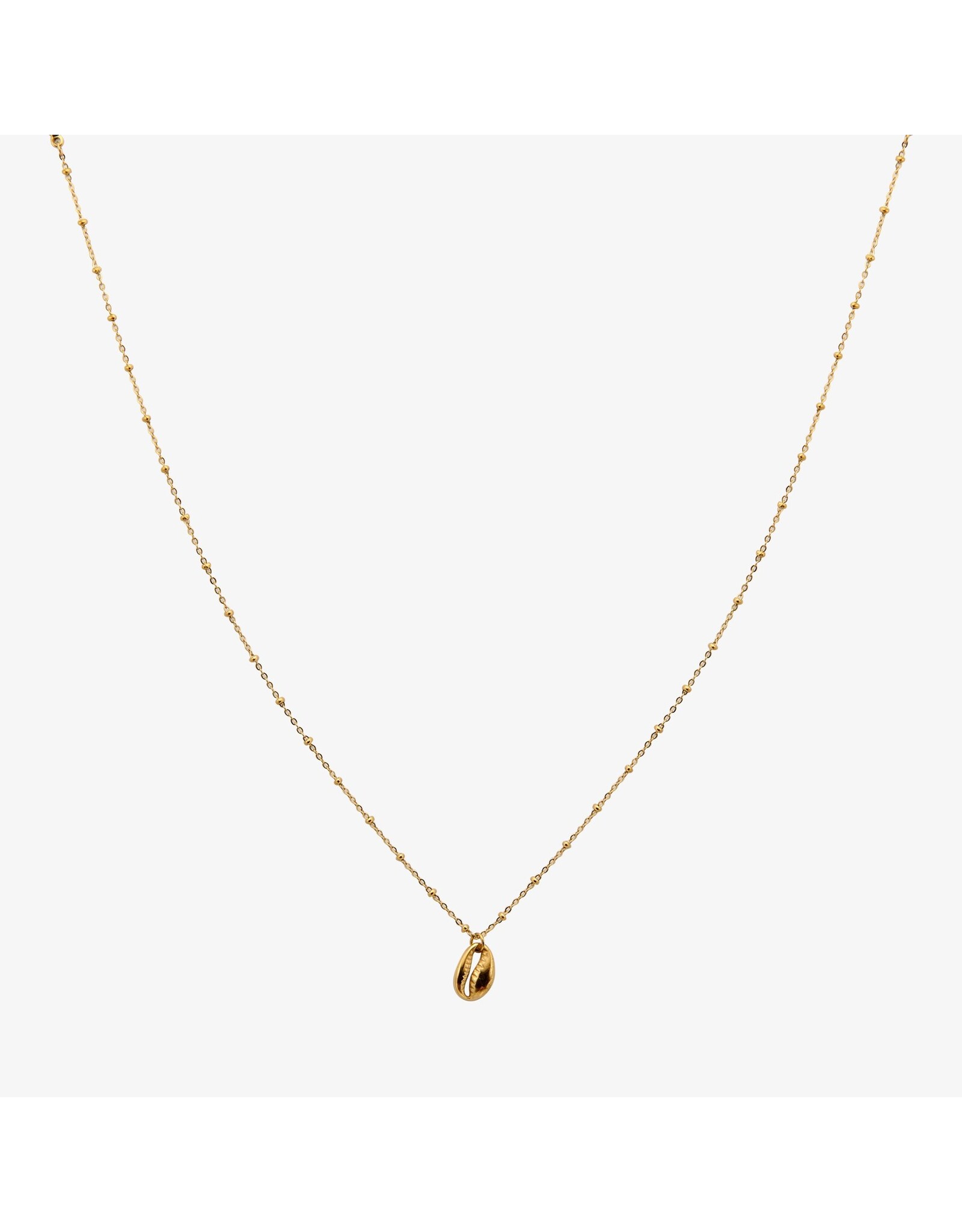 Ketting schelp