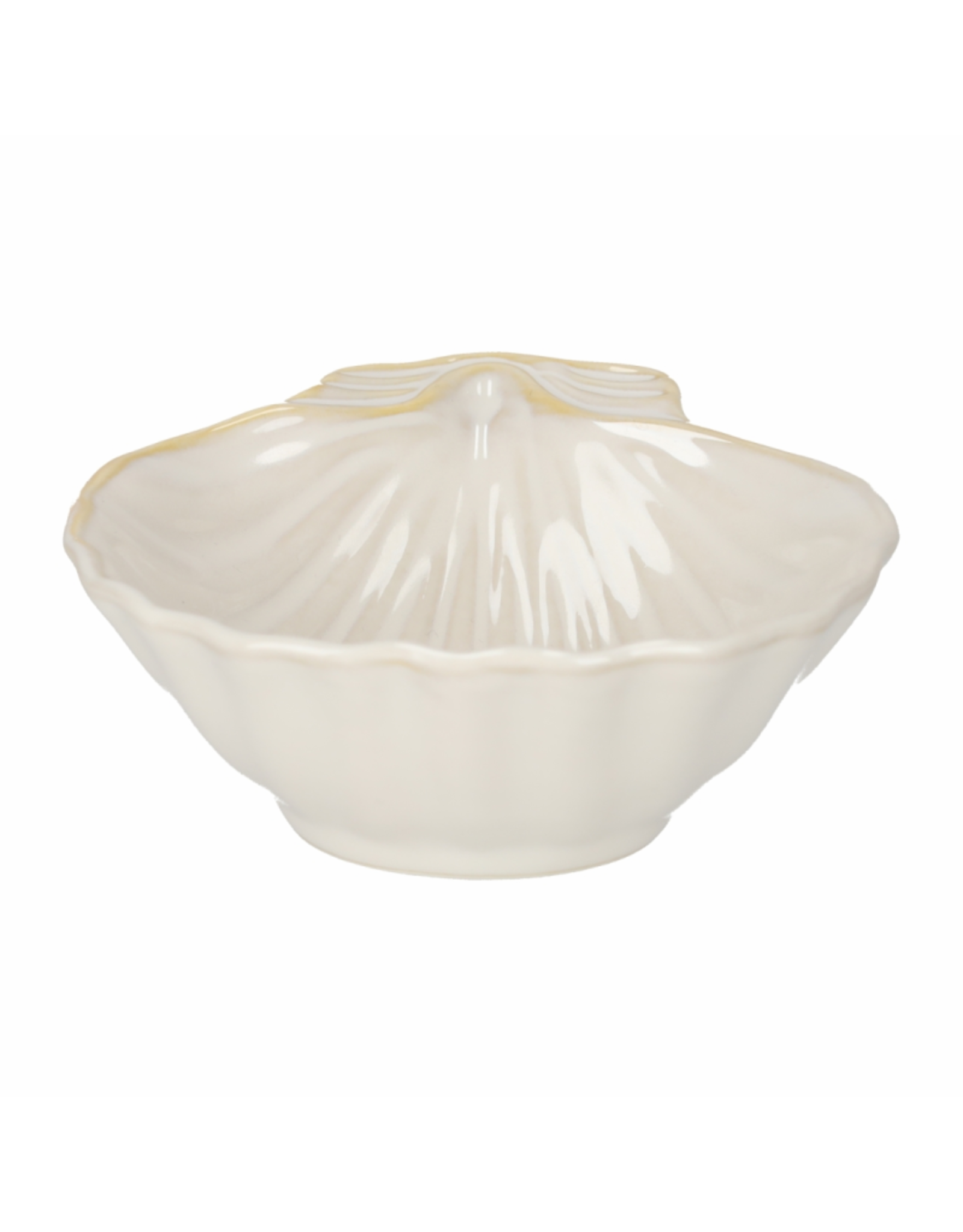 Schaaltje schelp