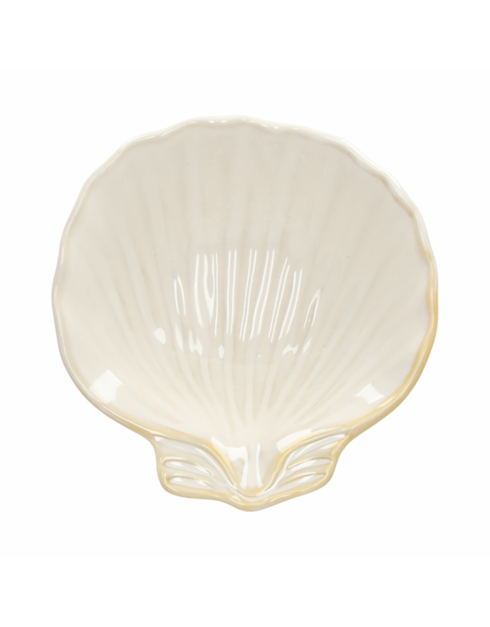 Schaaltje schelp