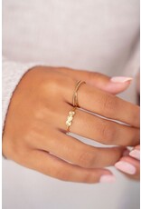 Ring met 3 muntjes