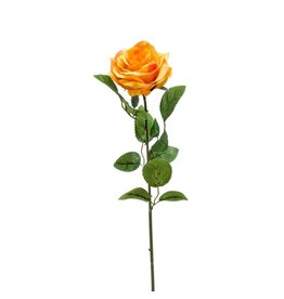 Roos yellow