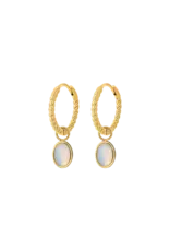 Oorringen moonstone
