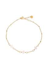 Enkelbandje White clover