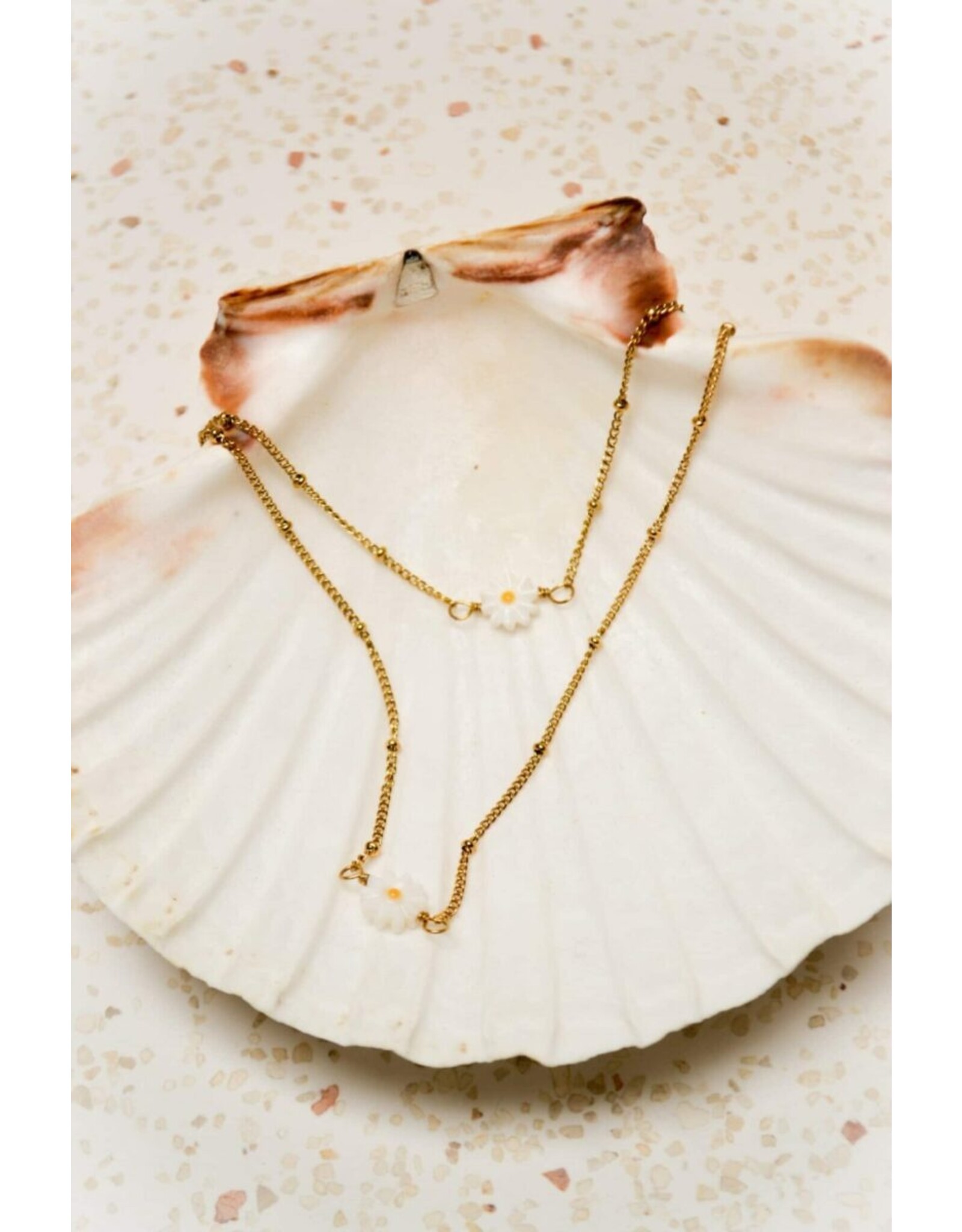 Ketting Daisy