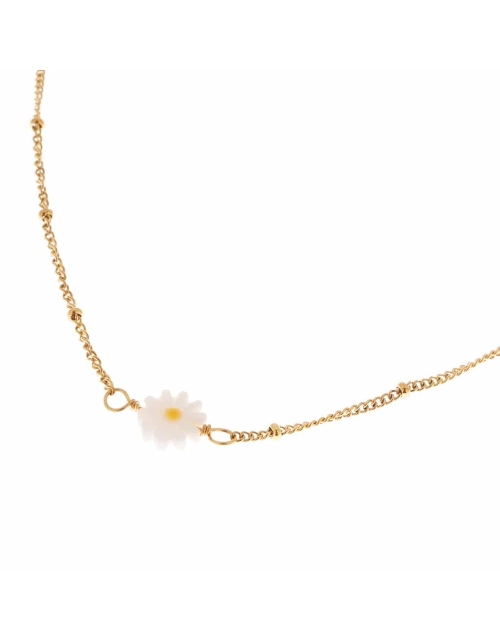 Ketting Daisy