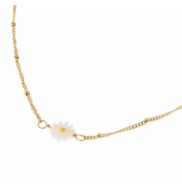 Ketting Daisy