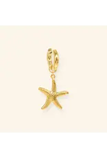 Oorringen Seastar
