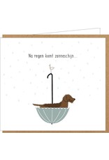 Wenskaart Frits 'Na regen komt zonneschijn'