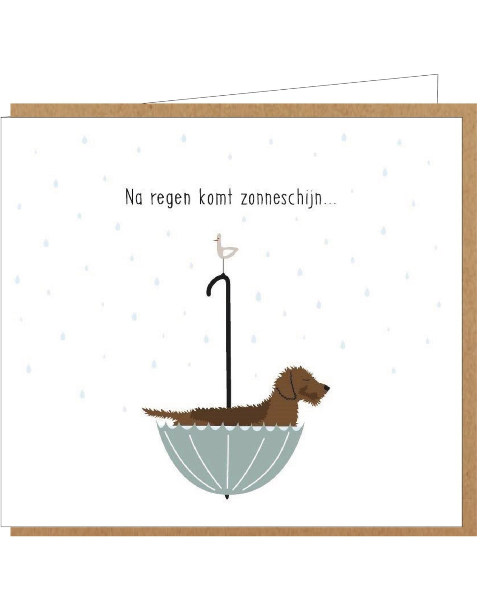Wenskaart Frits 'Na regen komt zonneschijn'
