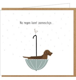 Wenskaart Frits 'Na regen komt zonneschijn'