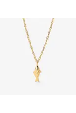 Ketting visje