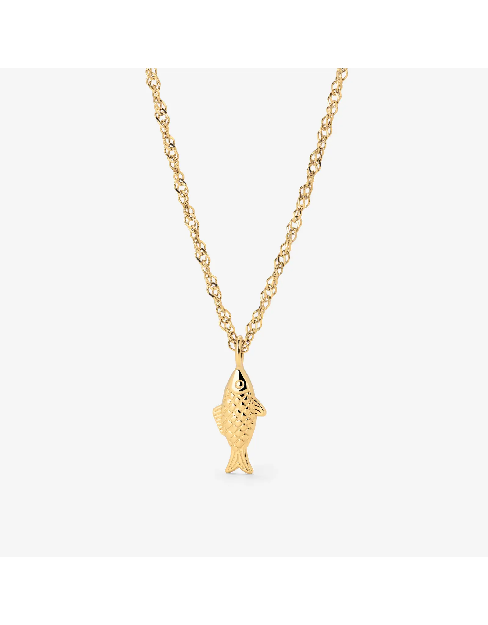 Ketting visje