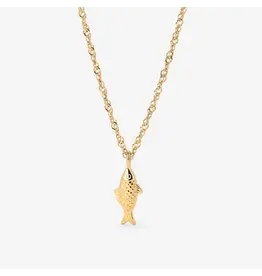 Ketting visje