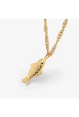 Ketting visje