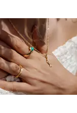Ketting visje