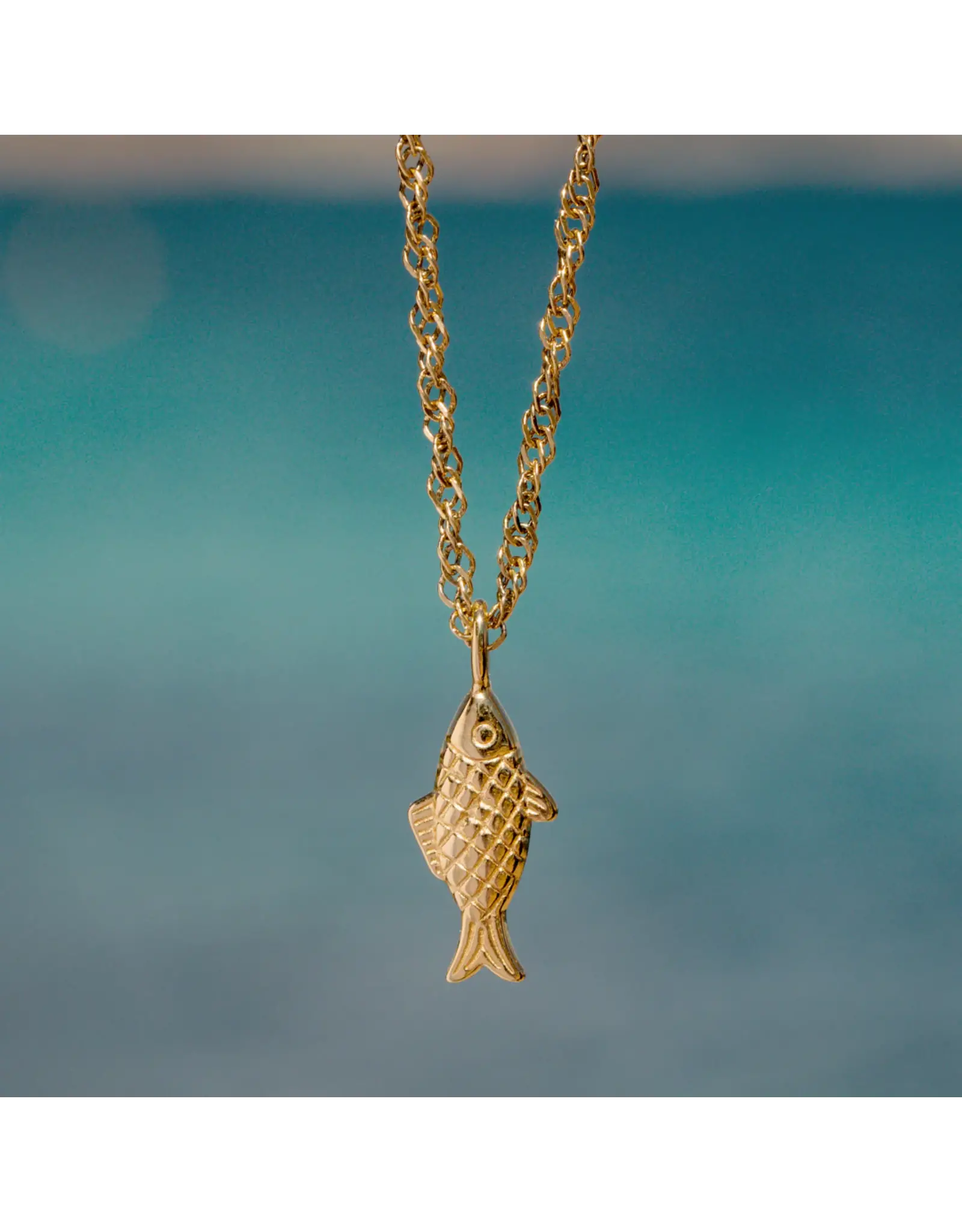 Ketting visje