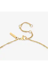 Ketting visje
