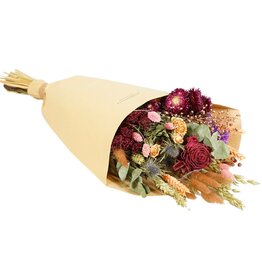 Droogbloemen large burgundy