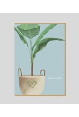 Wenskaart Jozefien Nieuwe thuis