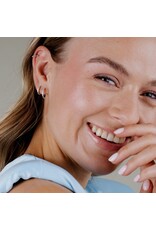 Oorringen glimmer zilver