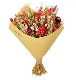 Droogbloemen Red allure