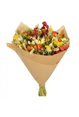 Droogbloemen Autumn colors