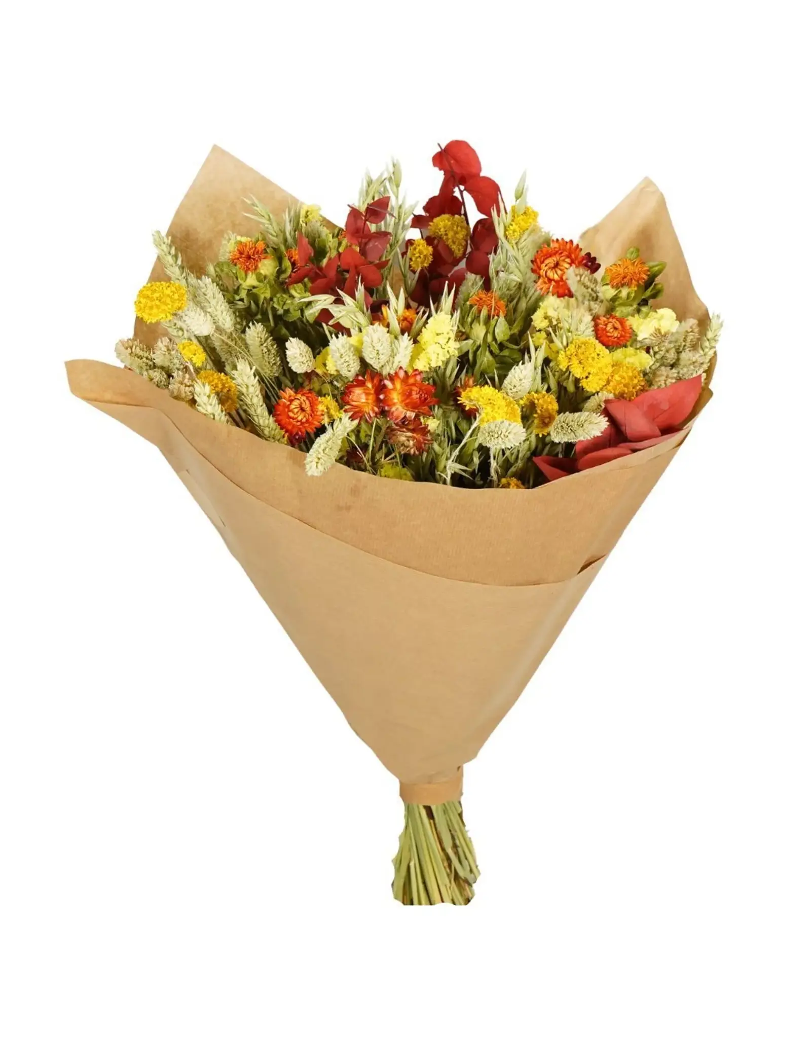 Droogbloemen Autumn colors