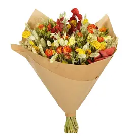 Droogbloemen Autumn colors